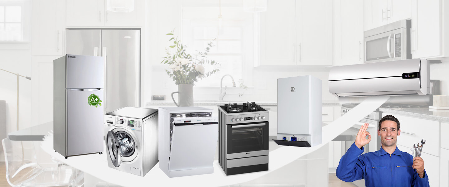 Basınsitesi Gaggenau Servisi